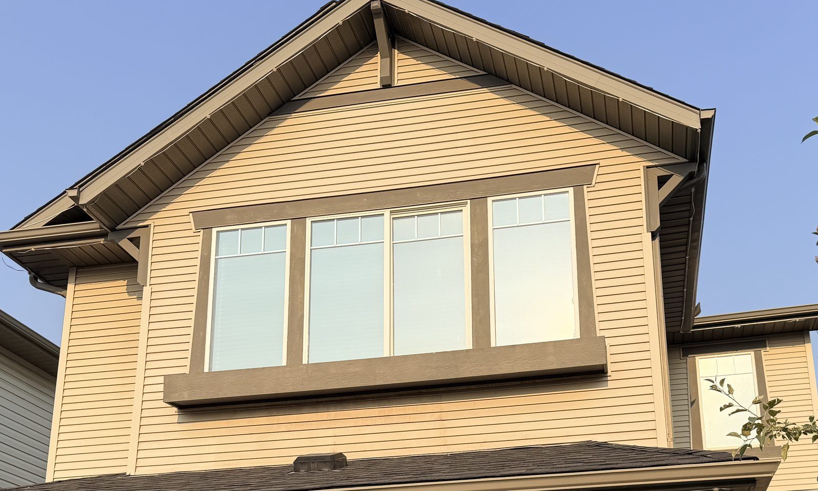 A home's windows fitted with architectural window film by Precise Detailing